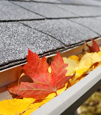 A close up of a rain gutter filled with fall leaves
